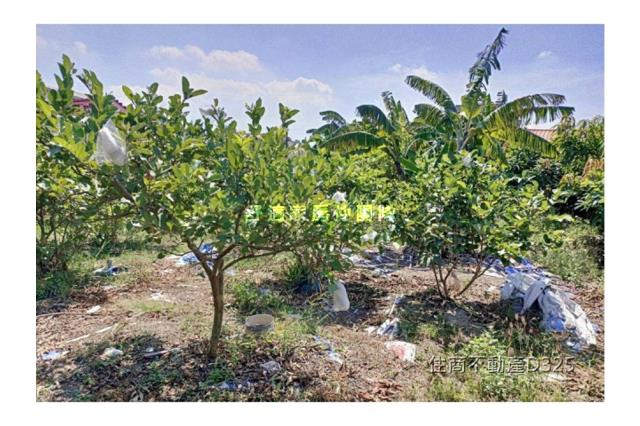 台南七股建地-0