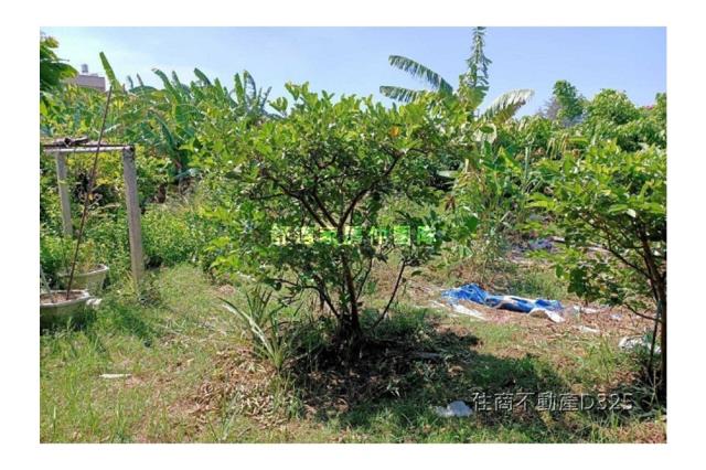 台南七股建地-1