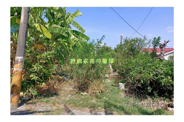 台南七股建地-3