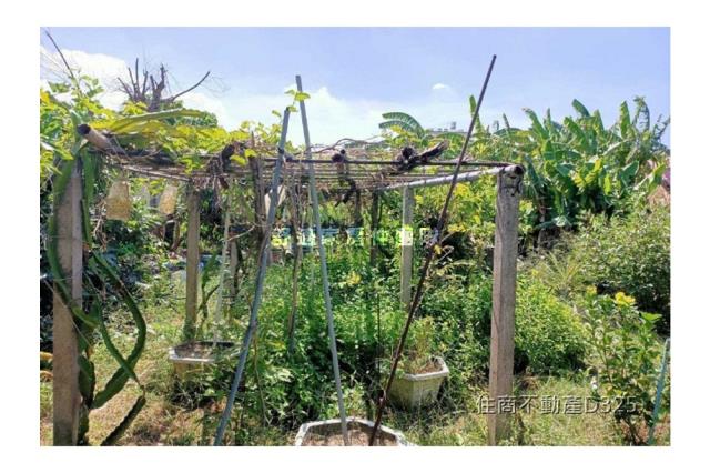 台南七股建地-5