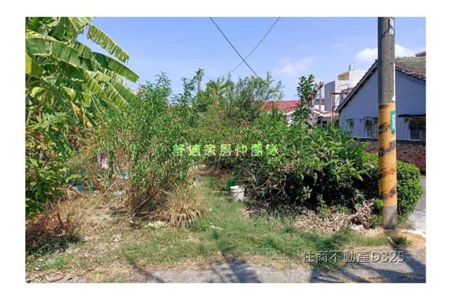 台南七股建地-6