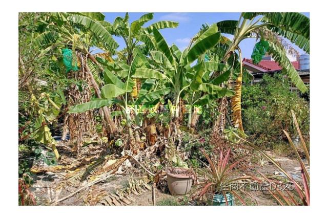 台南七股建地-7