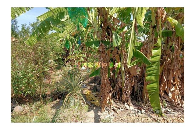 台南七股建地-8