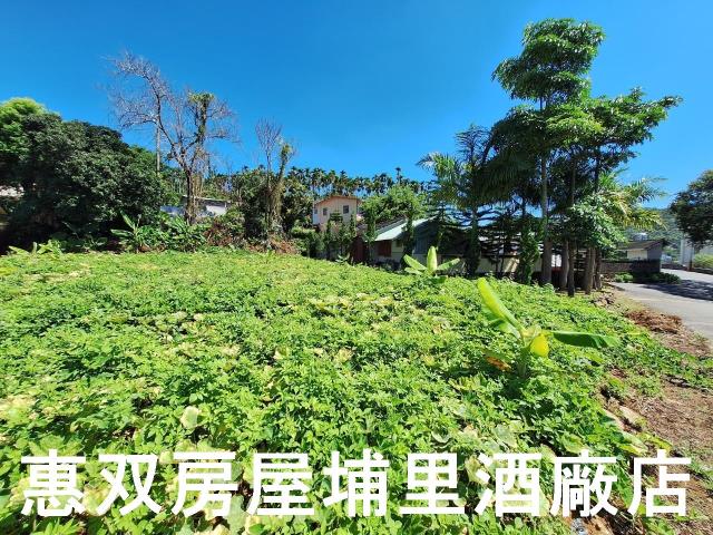 南投埔里建地-5