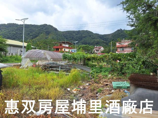 南投魚池建地-6