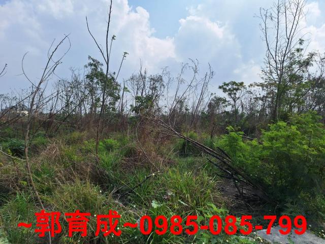 雲林元長建地-3