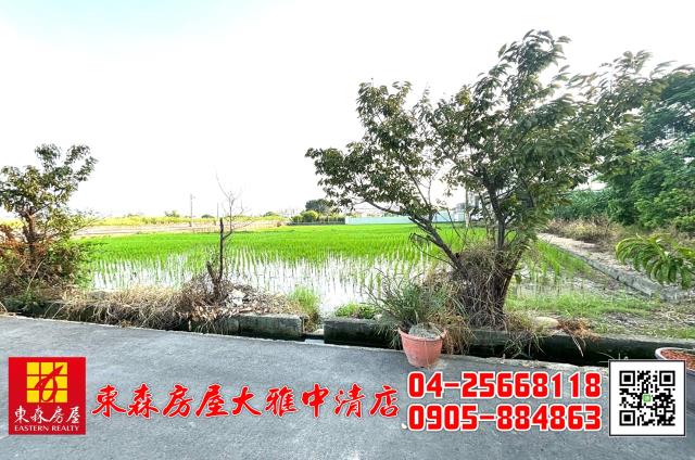 台中大雅建地-3