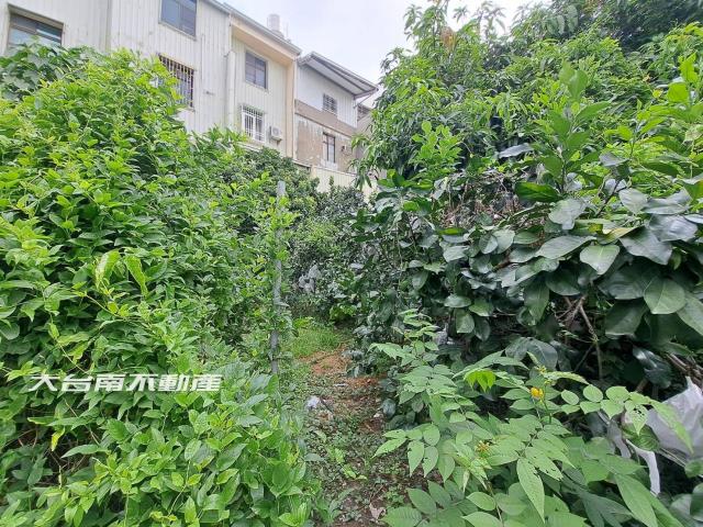 台南麻豆建地-9