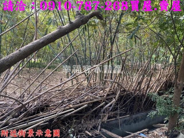 台南新化建地-11