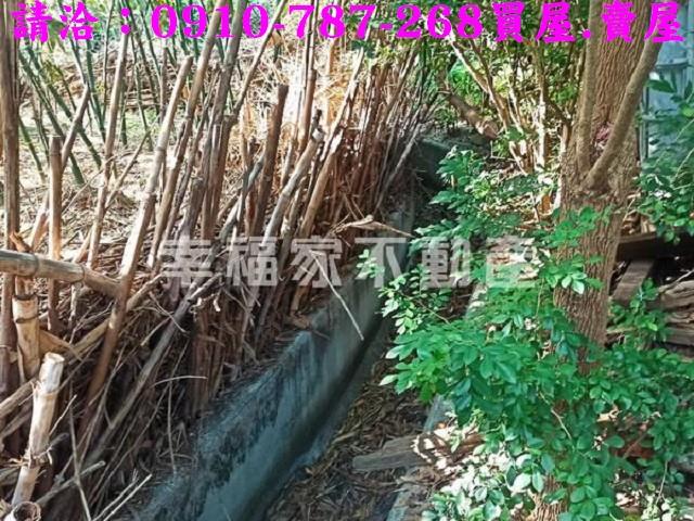 台南新化建地-6