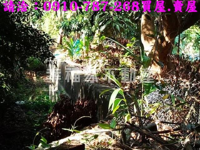 台南新化建地-8