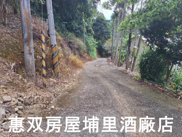 埔里建地-4
