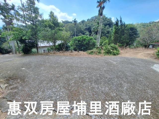 埔里建地-2