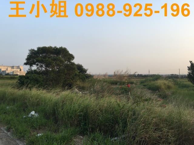 桃園建地-3
