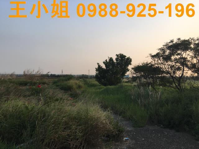 桃園建地-4