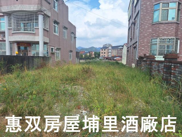 南投埔里建地-3