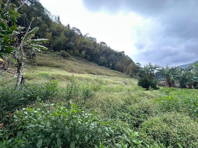 鹿谷建地-12