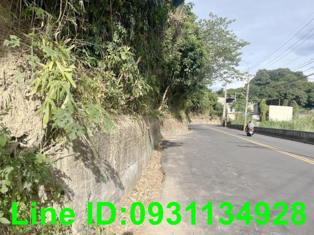 豐原建地-4