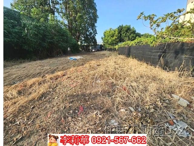 台南六甲建地-3