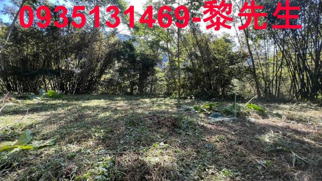 橫山建地-11