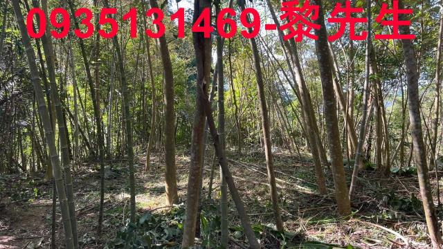 橫山建地-6