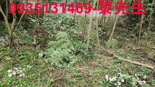 橫山建地-2