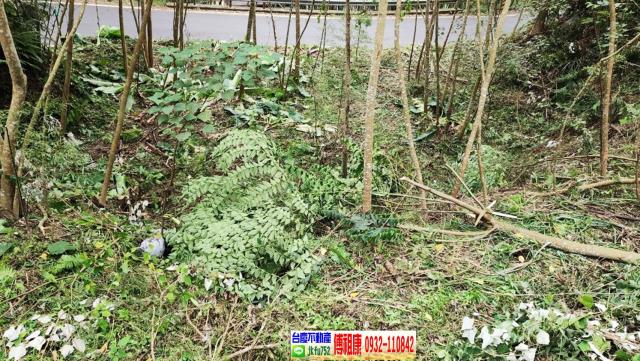 新竹橫山建地-9
