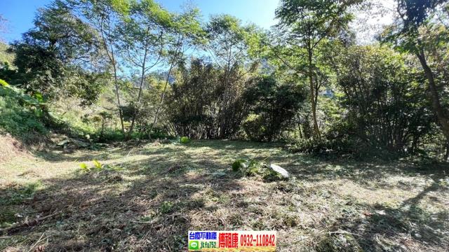 新竹橫山建地-3