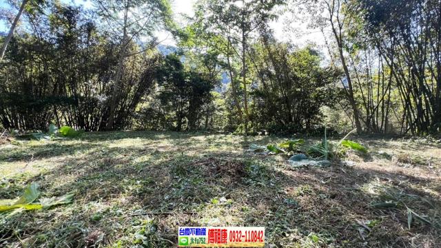 新竹橫山建地-4