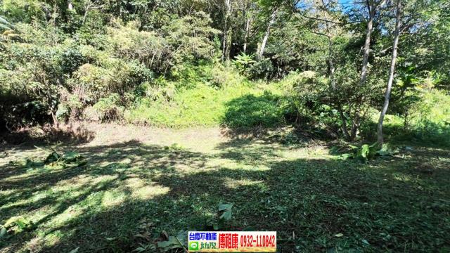 新竹橫山建地-5
