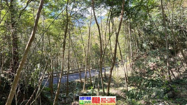新竹橫山建地-8