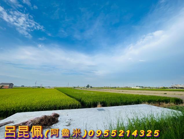 溪口建地-7