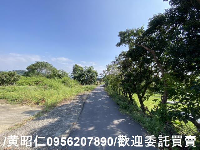 台南玉井建地-0