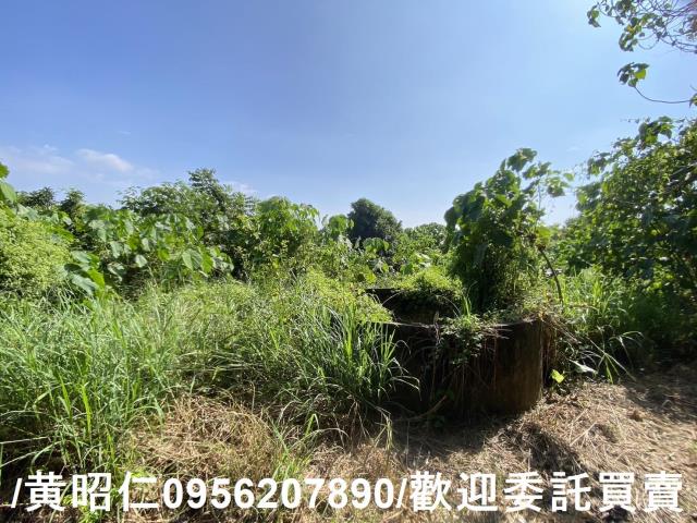 台南玉井建地-10