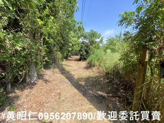 台南玉井建地-4
