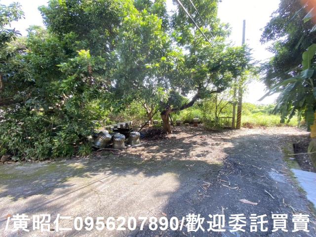 台南玉井建地-8