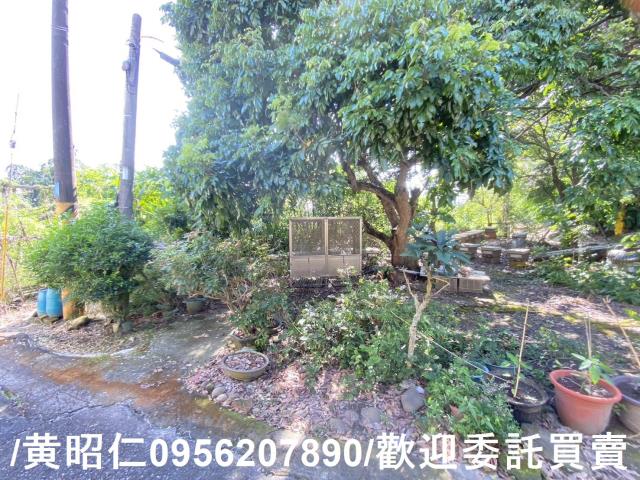 台南玉井建地-9