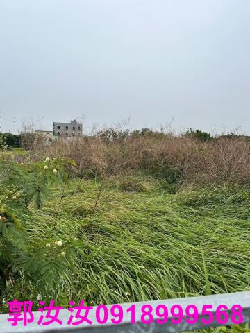 將軍建地-5