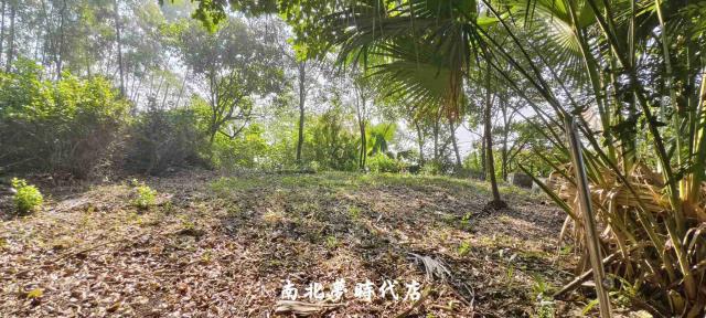 台南龍崎建地-6
