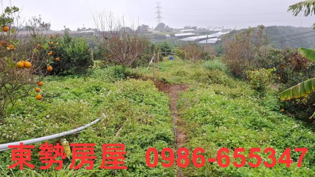 卓蘭建地-3