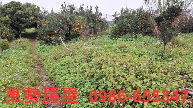 卓蘭建地-4