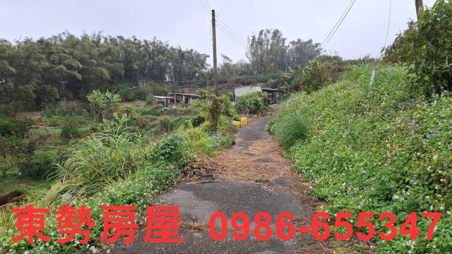 卓蘭建地-5
