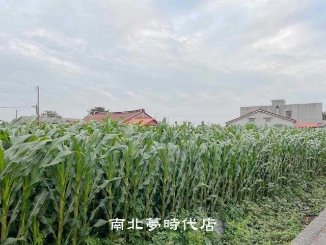 台南建地-1