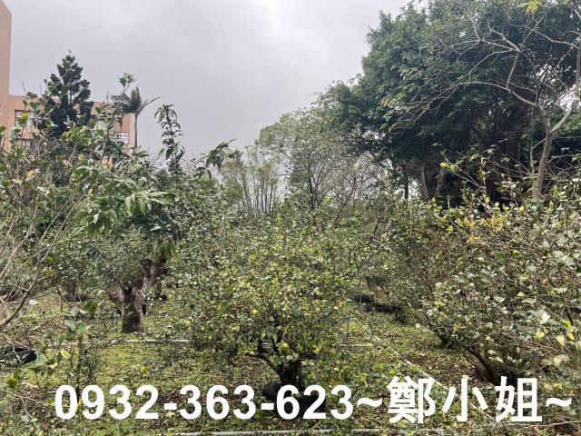 中壢建地-5