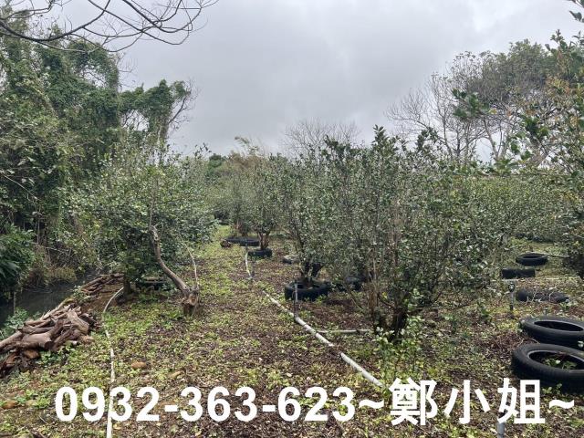 中壢建地-7