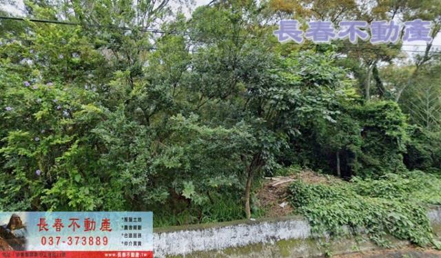 苗栗建地-2