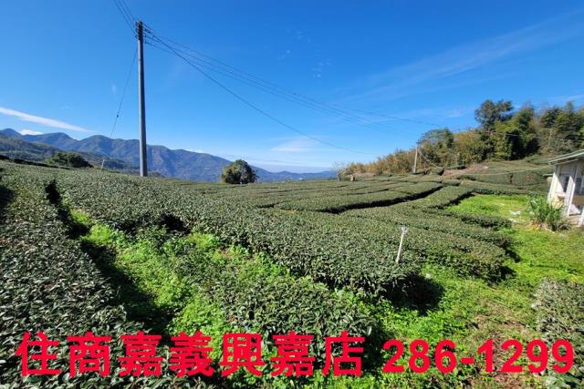 嘉義梅山建地-9