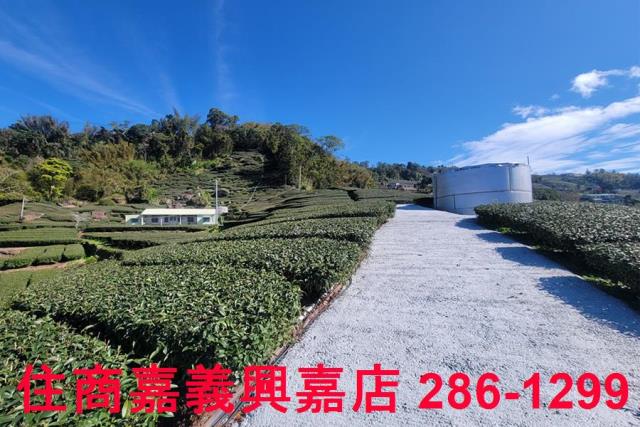 嘉義梅山建地-1