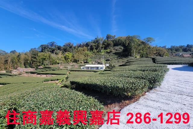 嘉義梅山建地-2