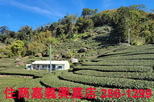 嘉義梅山建地-3